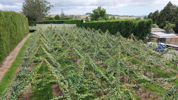 27 Orangewood Road Kerikeri_5