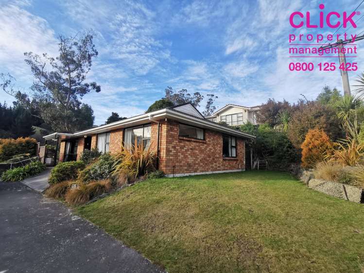 62 Barr Street Kenmure_0