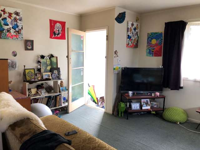 11 Pentland Terrace Tokoroa_2