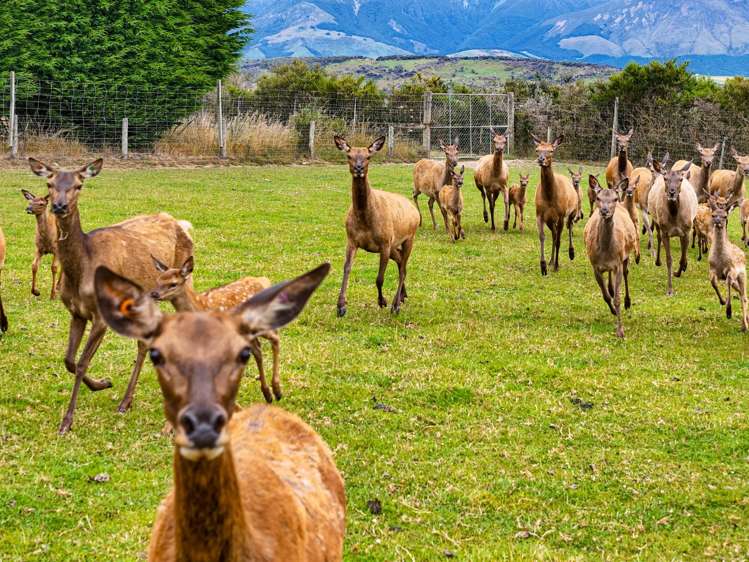 1542 Te Anau Mossburn Highway Te Anau Surrounds_16