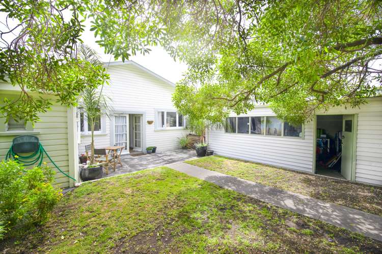 60 Mcgrath Street Napier South_5