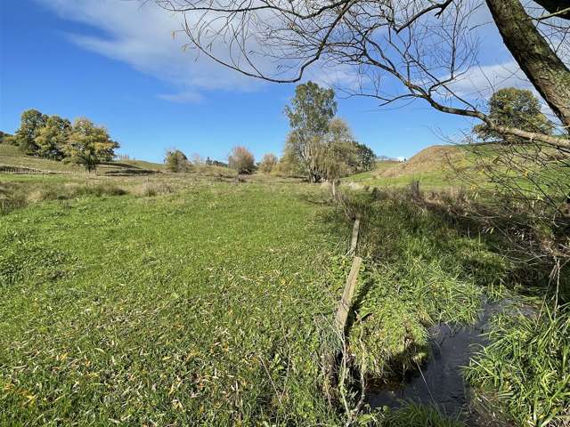 00 Puketawai Road Otorohanga_4