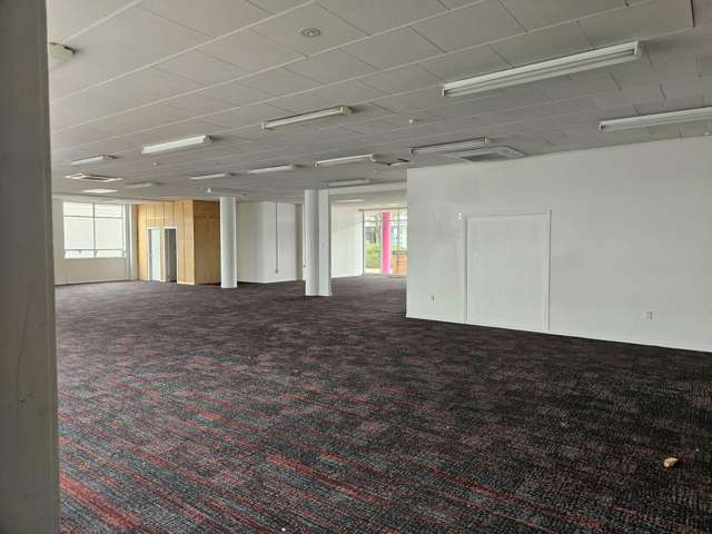 7 Hall Street Pukekohe_3
