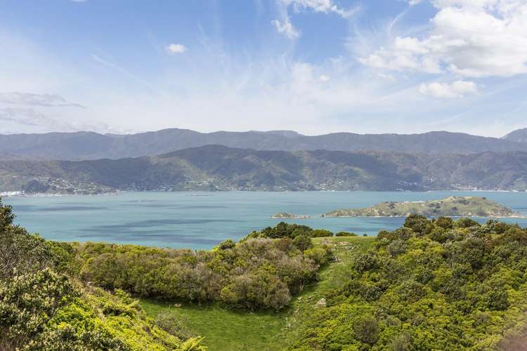 52 Miles Crescent Newlands_19