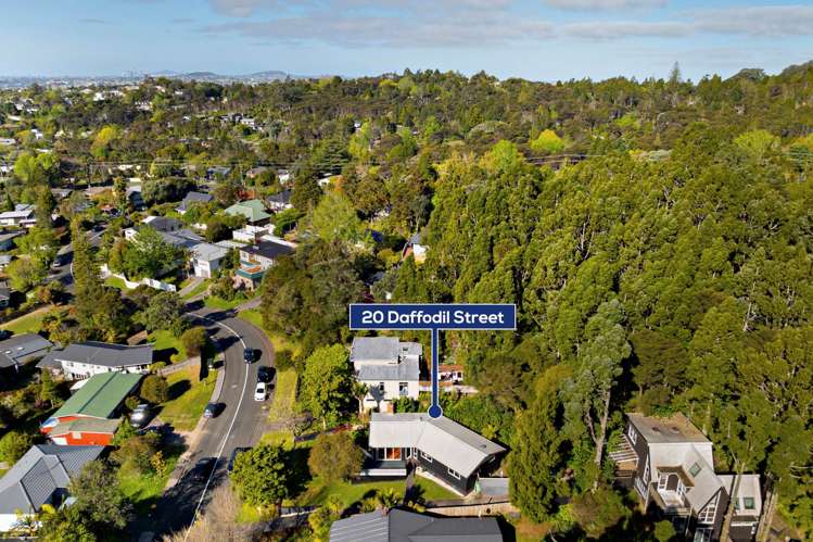 20 Daffodil Street Titirangi_17