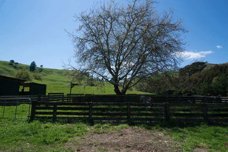 44 Coates Road Waikite Valley_17