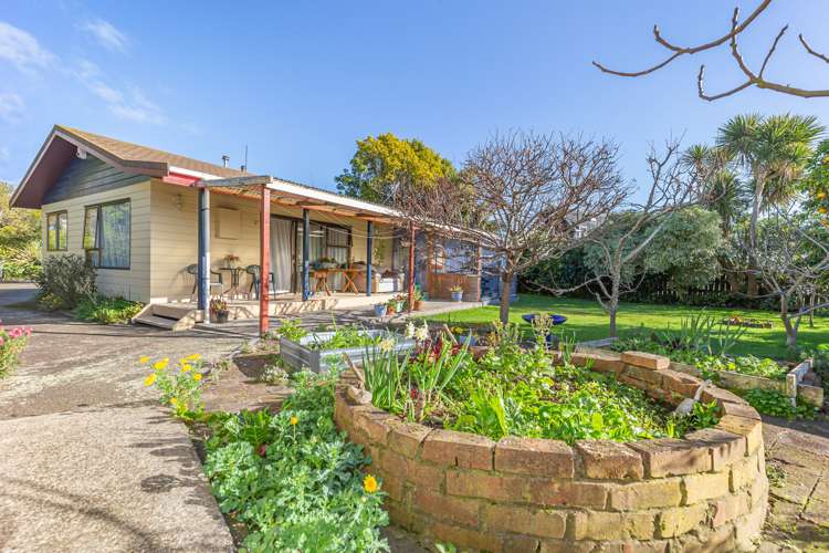 29a Sussex Street Levin_13