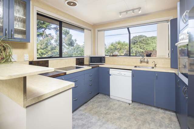 114 Dunrobin Street Waverley_4