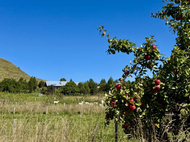407 Elephant Hill Road Waimate_32