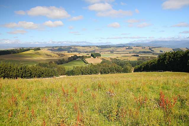 112 Ridgedale Road Te Anau_1