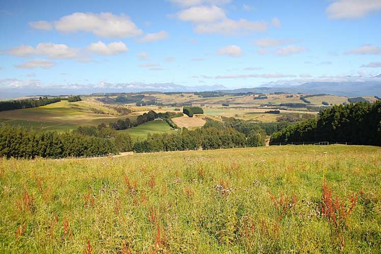 112 Ridgedale Road Te Anau_6