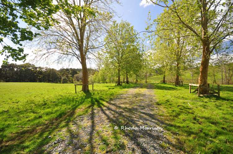 726 Paparoa Station Road Maungaturoto_73