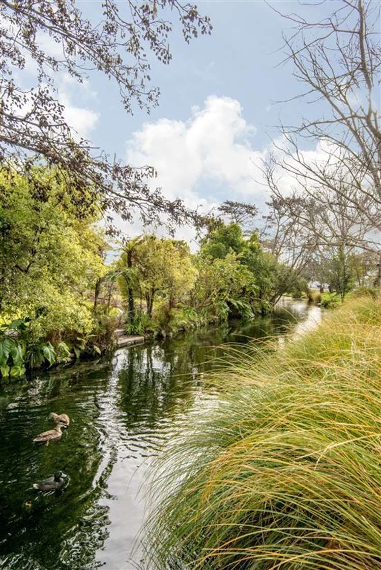 84 Wairarapa Terrace Merivale_5