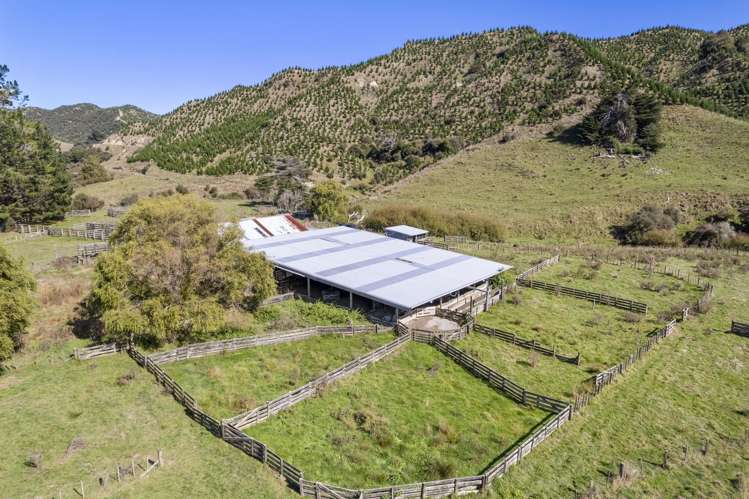 2560 Rawhitiroa Road Eltham_40