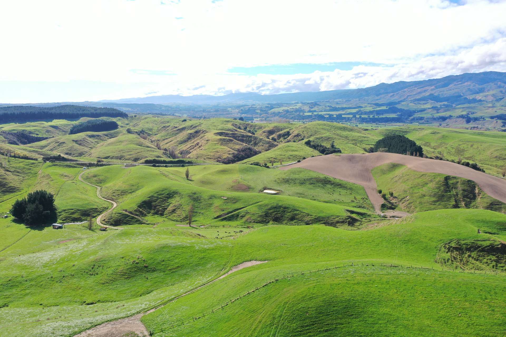 810 Spur Road Ashhurst_0