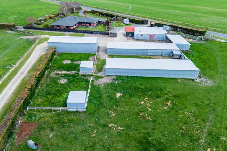 446 Grahams Road Willowby_22