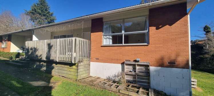 15B Windsor Street Springfield_12