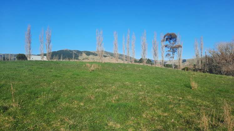 3 Williams Road Tokomaru_1