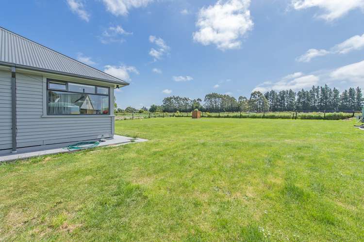 59 Canterbury Street Ashley_15