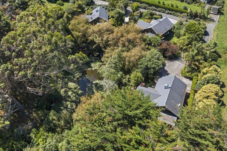 91d Greenslade Road Raglan_50