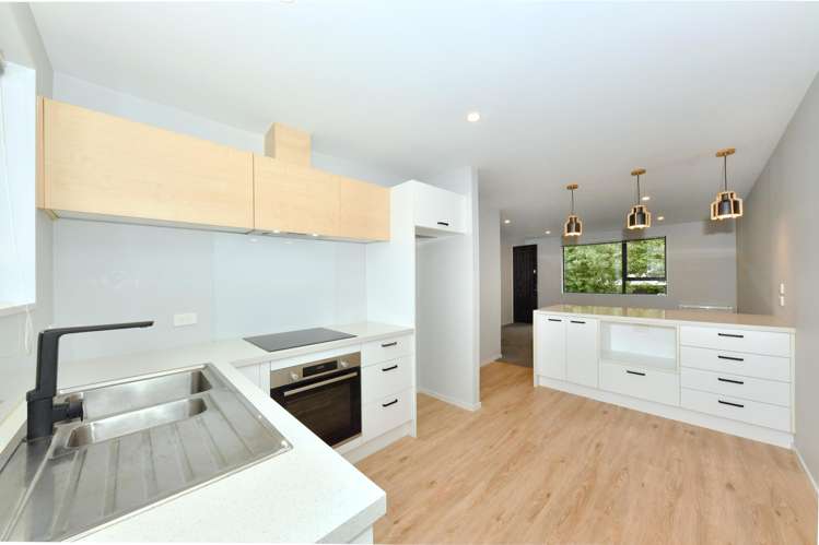 3/738 Ferry Road_0