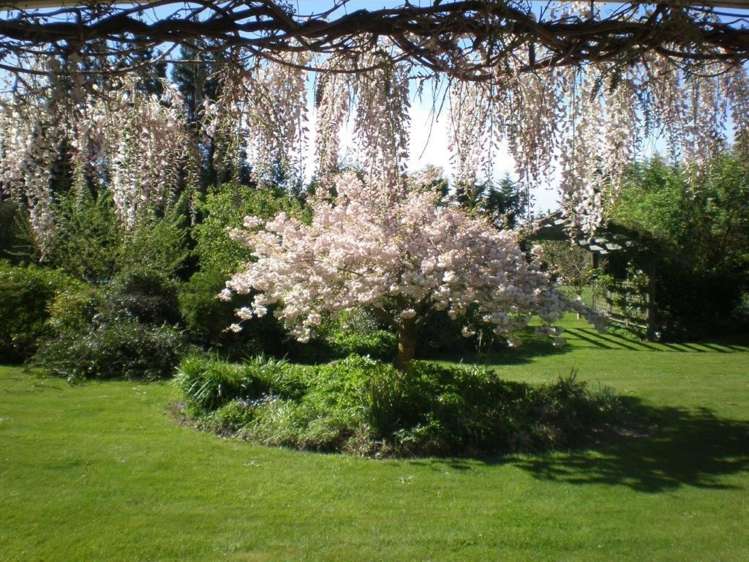 16 Max Wallace Drive Ashley_9