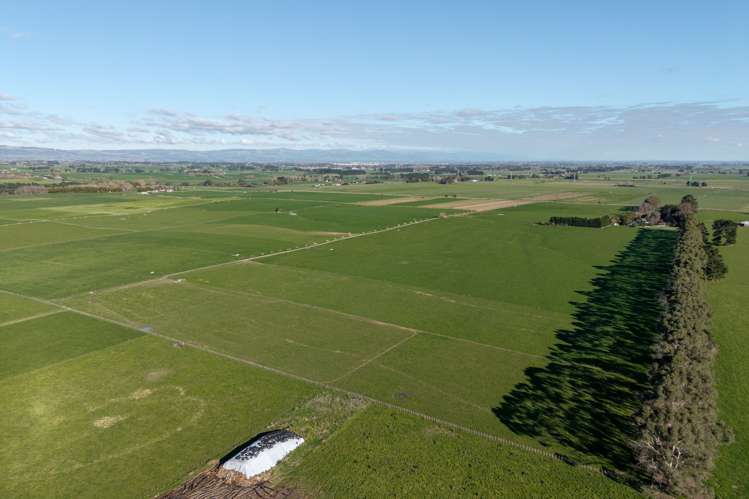 325 Reid Line East Bunnythorpe_7