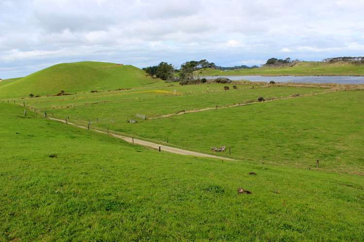 187 Katavich Road Awanui_17