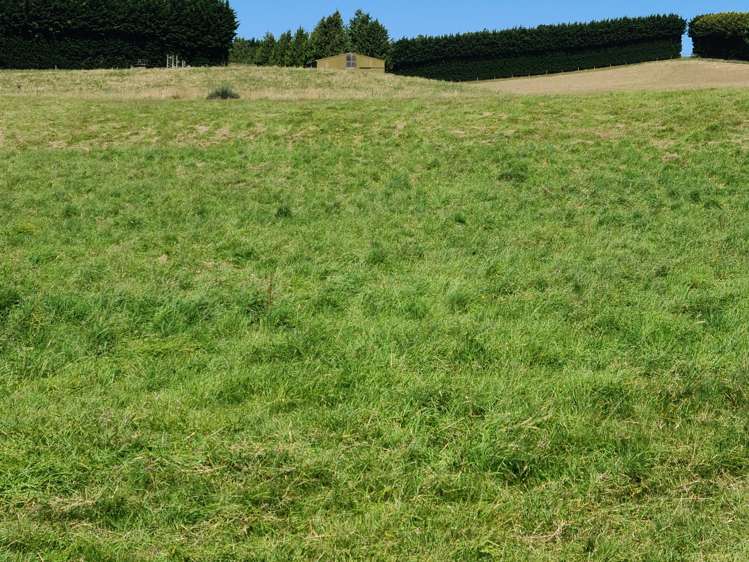 81 Homestead Road Weston_8