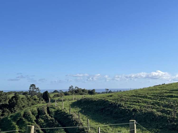 319 Dover Road Okato_10