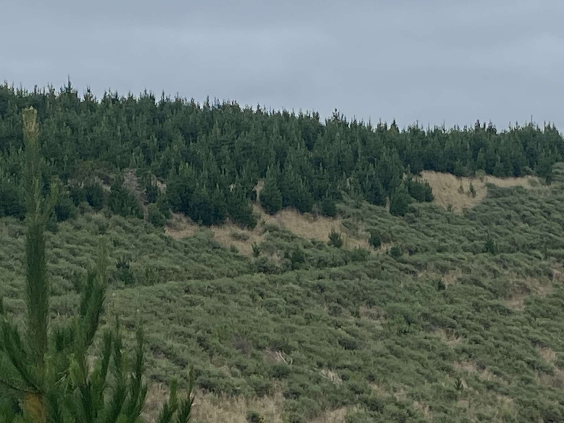 Livingstone-Duntroon Road North Otago Surrounds_0