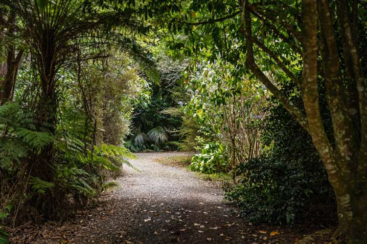 239 Horeke Road Okaihau_2