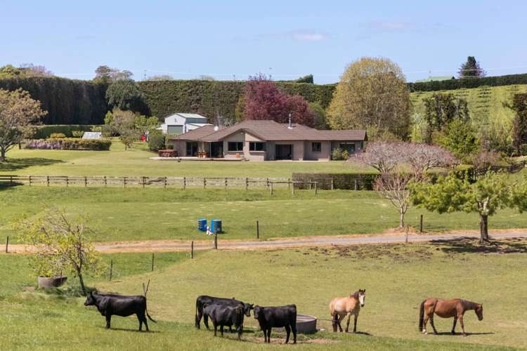 155 Ongare Point Road Katikati_23