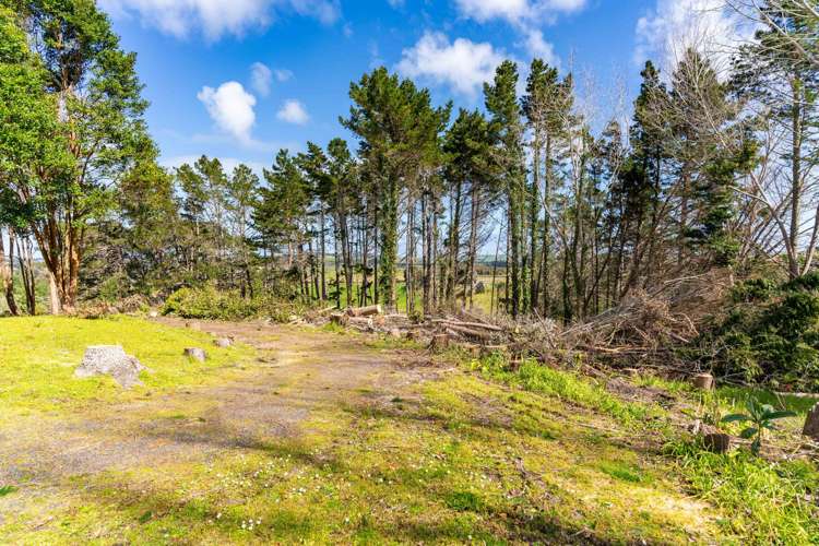 5A Pirika Street Dargaville_46