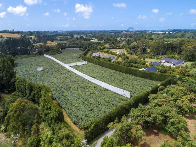 4a Ainsworth Road Wairoa_7