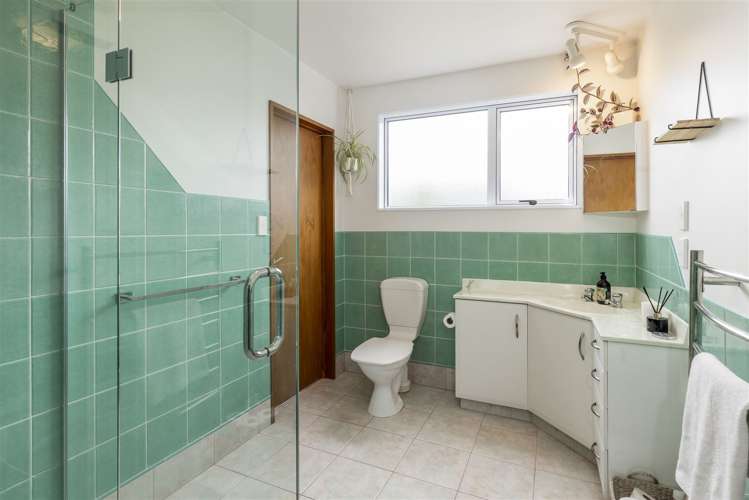 17a Brydon Street Renwick_13