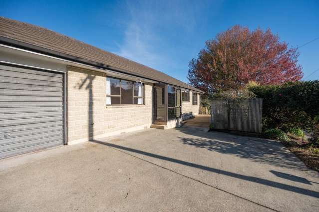 30 Alfred Street Nelson South_3