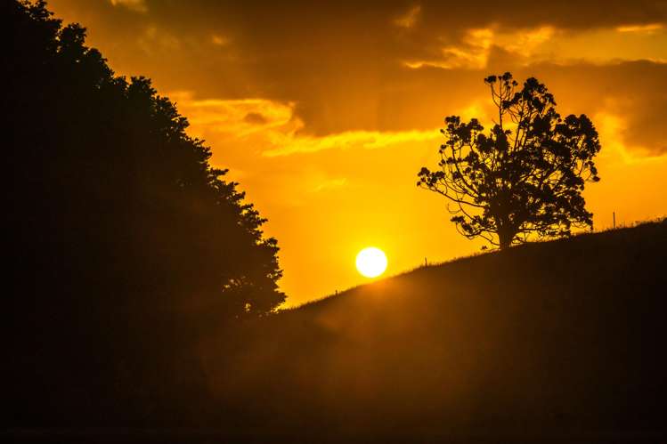 70 and 70A Pebble Brook Road Waitoki_24