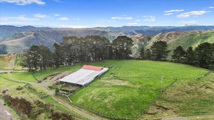 1535 Taumatamaire Road Awakino_22