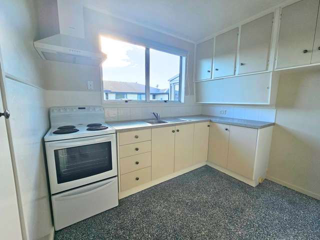 3b McKinley Lane Blenheim_3