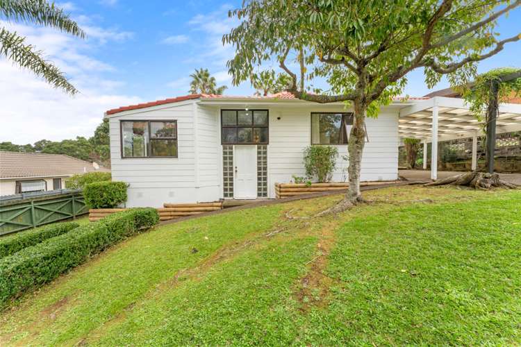 20 Pallister Drive Hillsborough_22