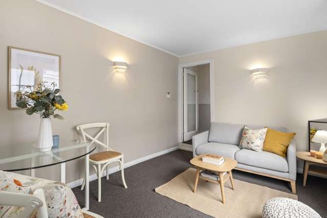 101 Pirie Street Mount Victoria_2