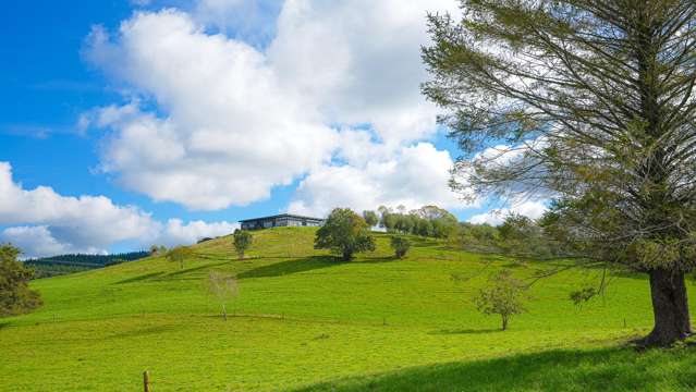 563 Kopuku Road Maramarua_4