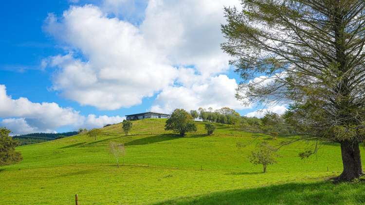 563 Kopuku Road Maramarua_4