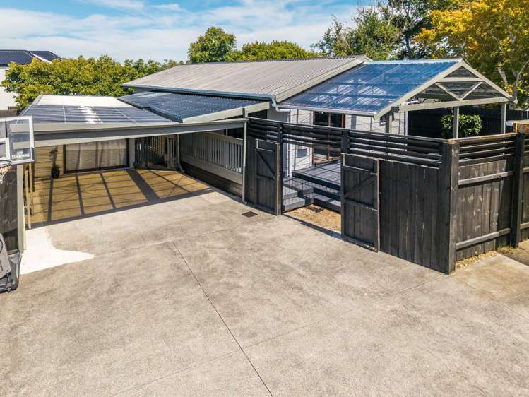 2/31 Gill Avenue Te Atatu Peninsula_13