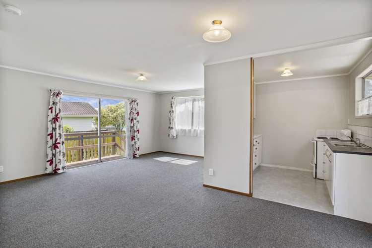 307 Roscommon Road Clendon Park_9