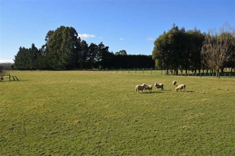 48 Donalds Road Upper Plain_22