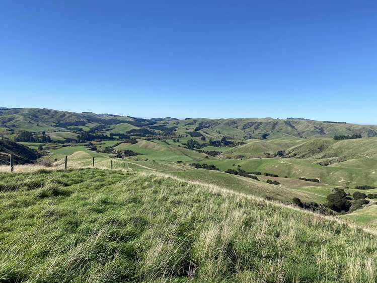 48 Heathfield Road Waipara_7