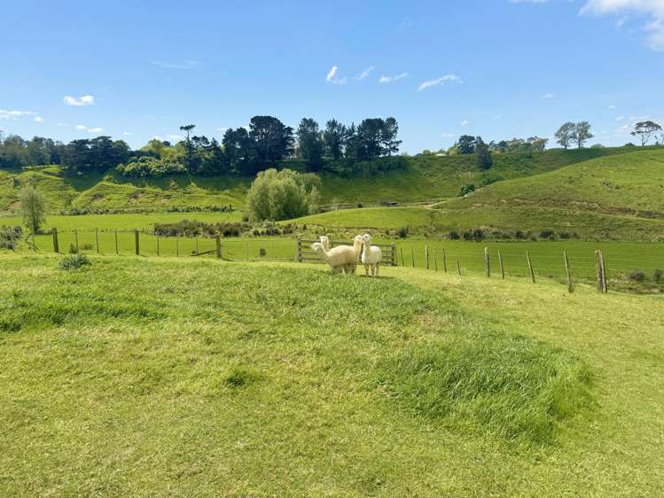 75 Heights Road Shannon_22