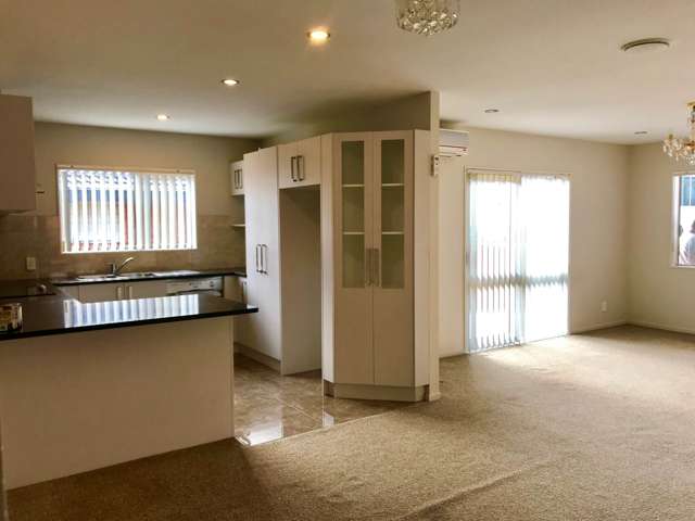 47 Mckittrick Avenue Flat Bush_3